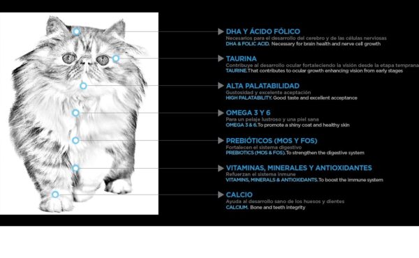 Nupec Felino Kitten - Imagen 2