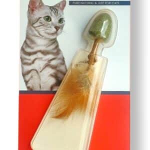 Catnip Toys
