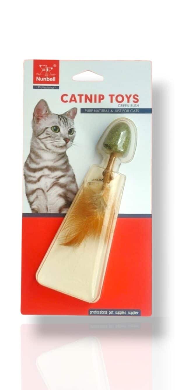Catnip Toys