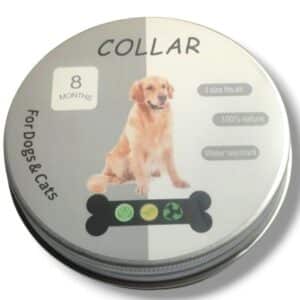 Collar anti pulgas
