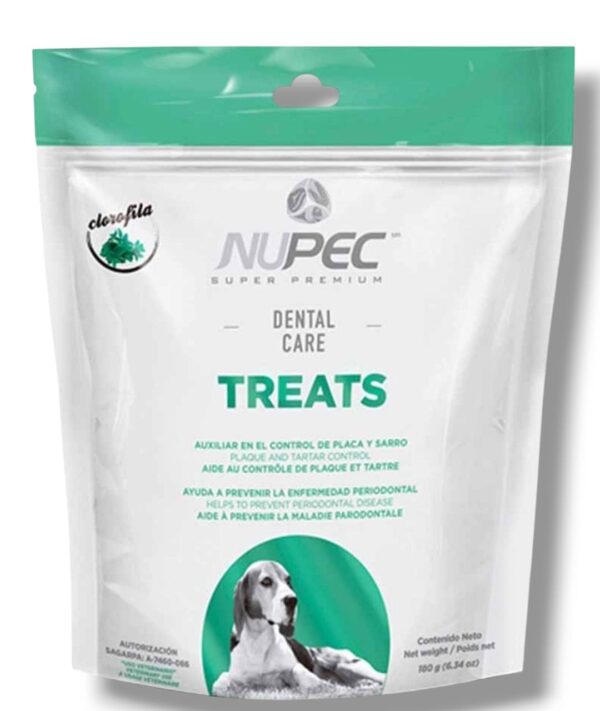 Nupec Dental Care