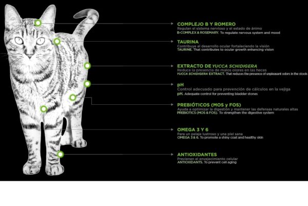 Nupec Felino Adulto - Imagen 2