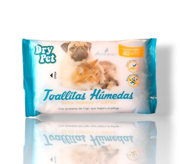 Toallitas Húmedas